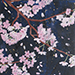 Hiroko Otake Gallery